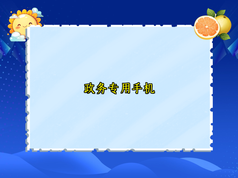 政务专用手机