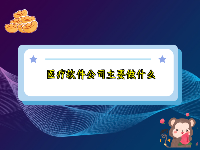 医疗软件公司主要做什么