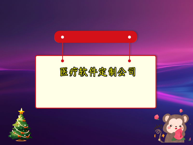 医疗软件定制公司