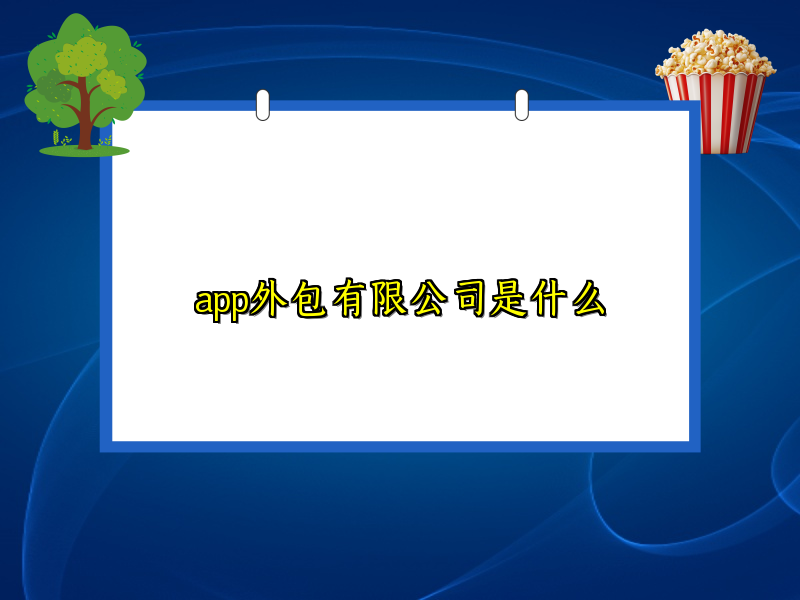app外包有限公司是什么